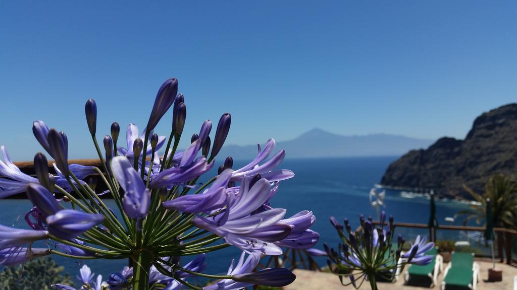 Jardin La Punta Hermigua